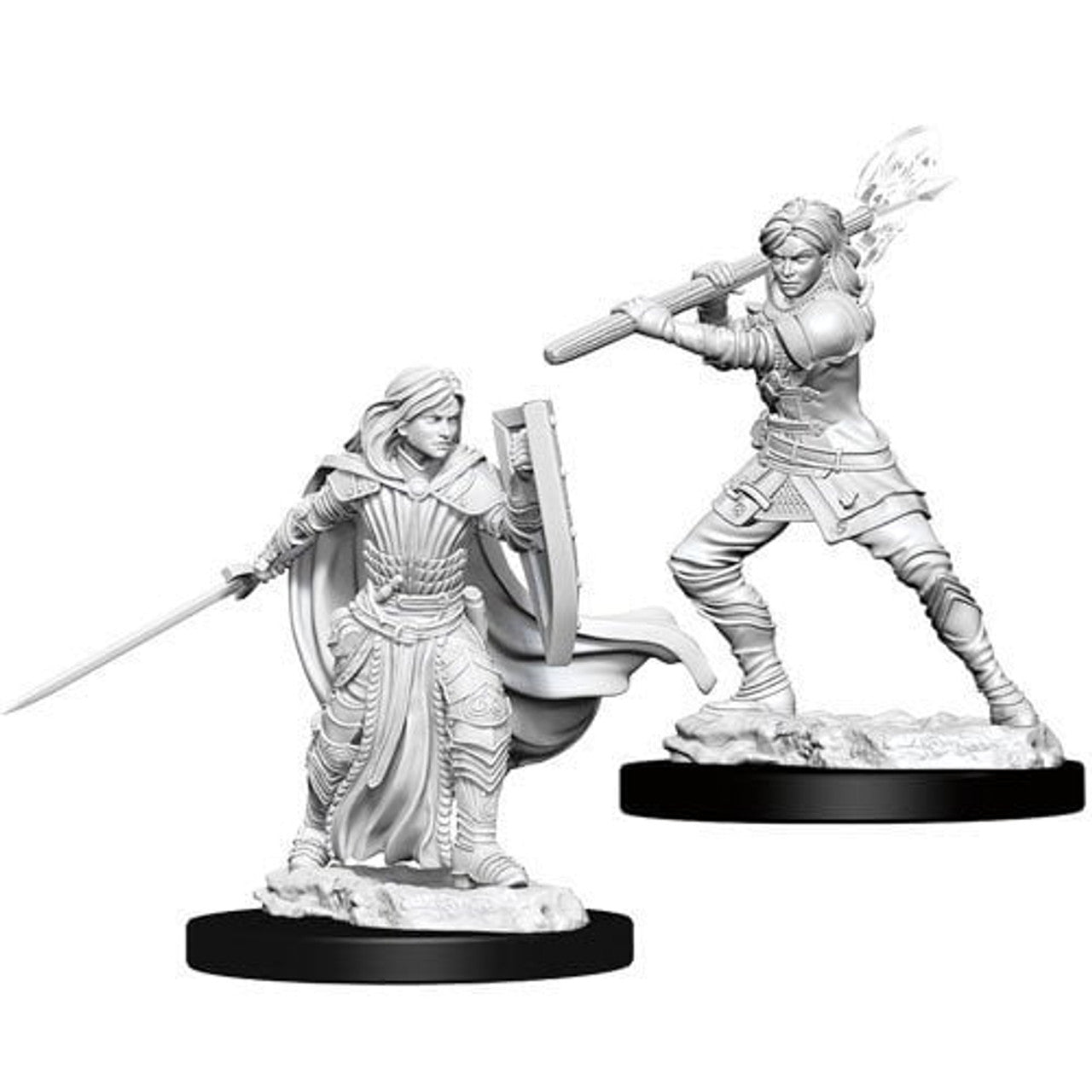 wizkids - human paladin