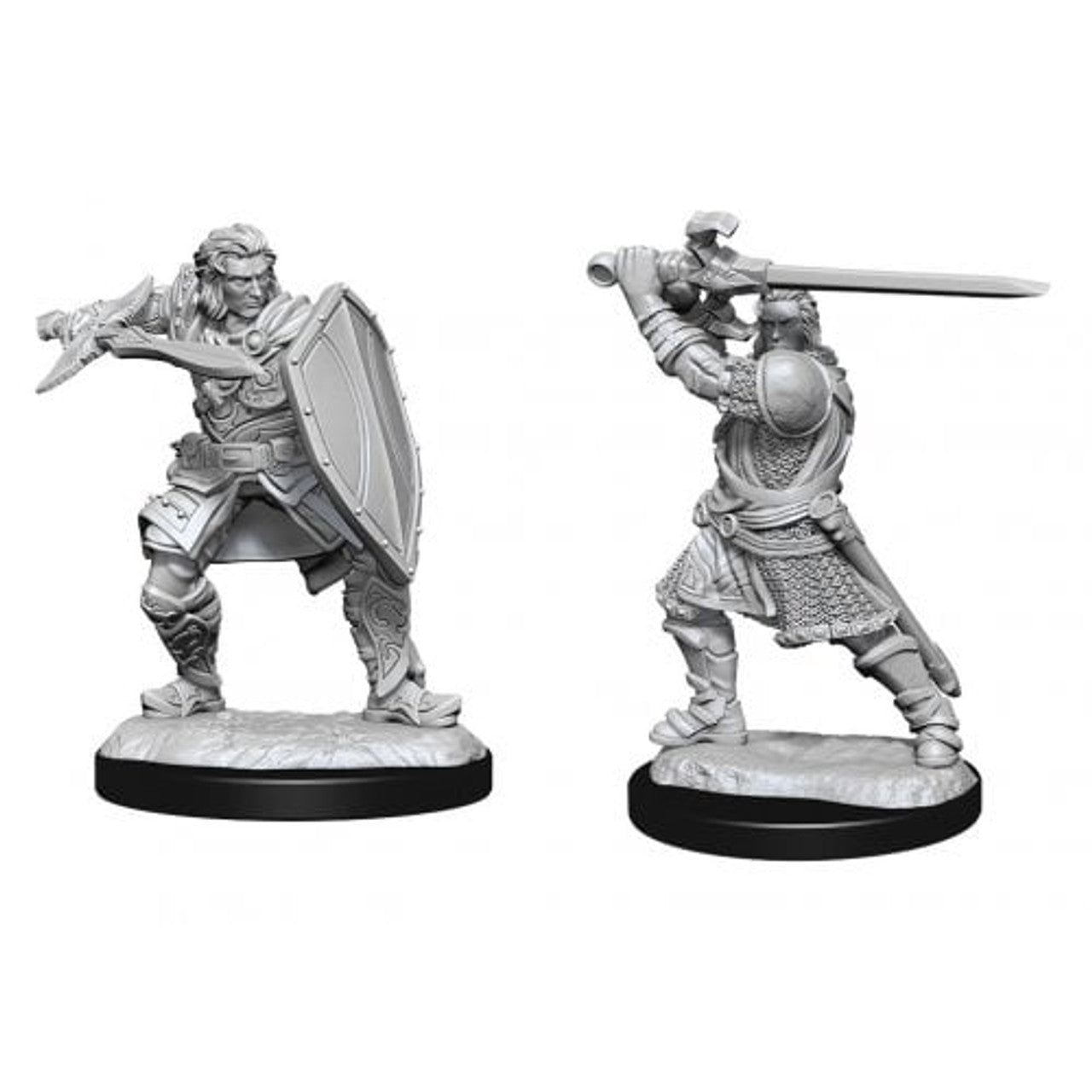 wizkids - human paladin - box damaged