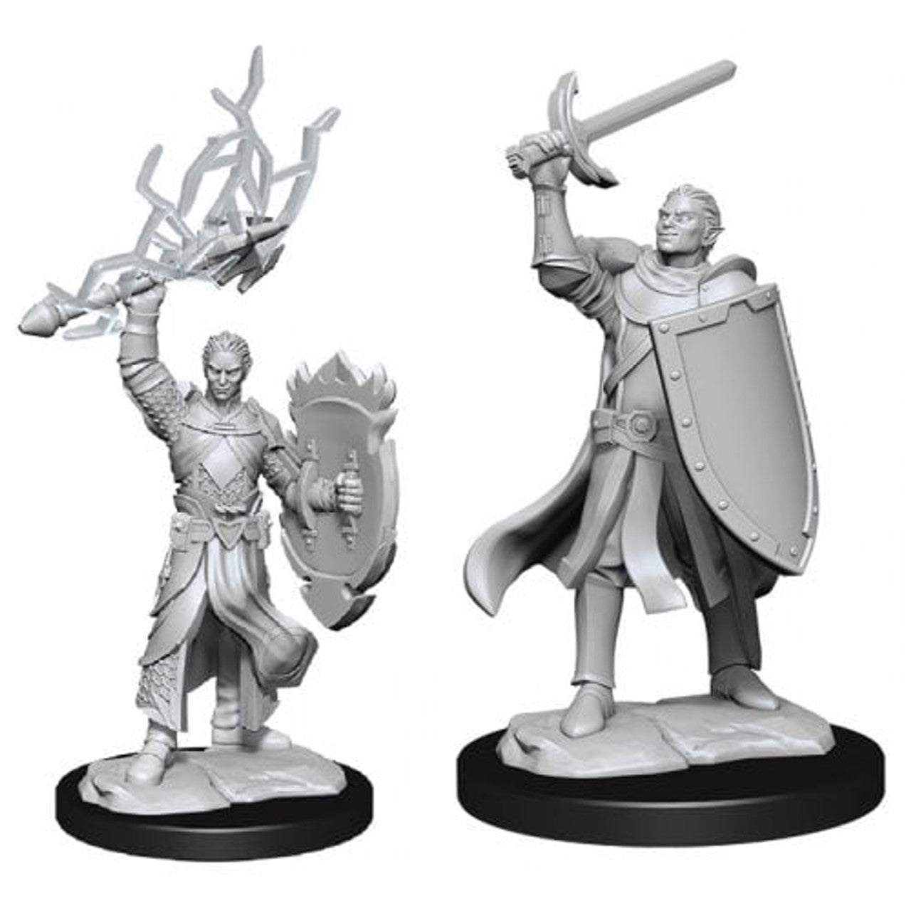 wizkids - half-elf paladin