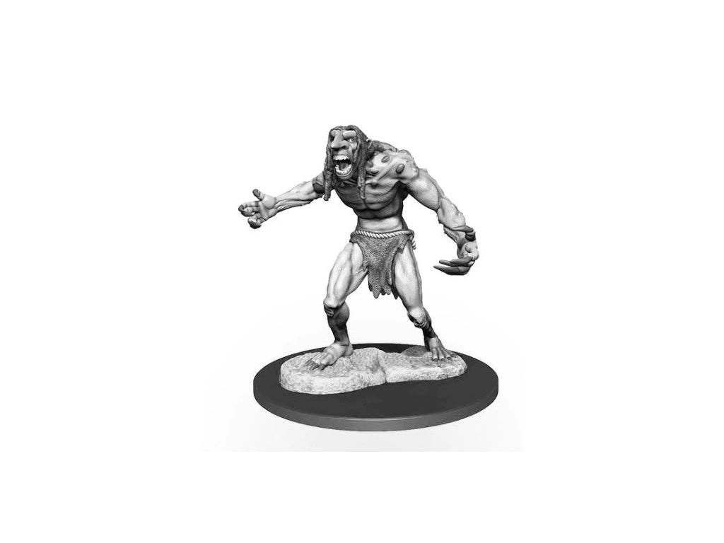 Wizkids - raging troll