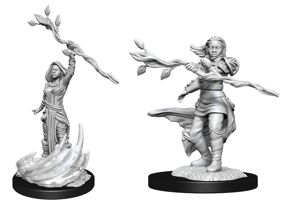wizkids - human druid