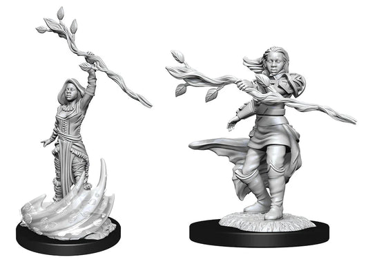 wizkids - human druid